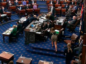 Supporting image for story: Biden and Democrats prevail as US senate approves Covid relief bill