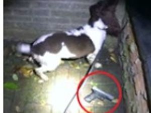 Supporting image for story: Two men jailed after firearm recovered from Birmingham street