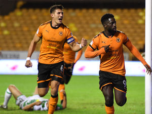 Supporting image for story: Wolves 1 Yeovil 0 – Report and pictures