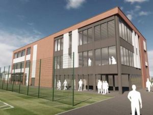 Supporting image for story: Telford playing fields protest group set to disband