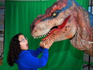 Supporting image for story: Jurassic surprise at Shropshire school as dinosaurs come to visit
