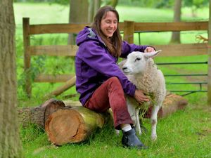 Supporting image for story: Organic farm sees huge increase in trade