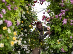 Supporting image for story: Children centre stage at Chelsea Flower Show as green issues high on agenda