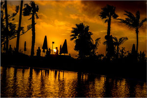 Dave Thorner – Sunset Silhouette