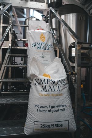 Beer Central Festival. Pictures by: Jake Nash