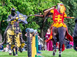 Supporting image for story: Shropshire County Show returns with first full programme since 2019