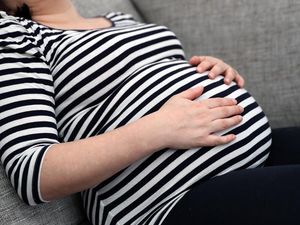 Supporting image for story: ‘Mini-placentas’ grown in the lab could solve pregnancy mysteries