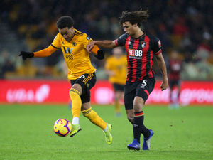 Supporting image for story: Wolves legend Steve Bull: Three games that should cement our league spot