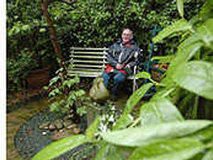 Supporting image for story: Tree fall threat leads to revamp