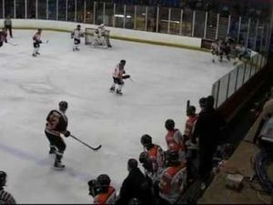 Supporting image for story: Peterborough Phantoms 1 Telford Tigers 3