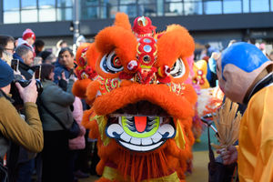 Choy Lee Fut Lion Procession at Birmingham Chinese New Year Festival 2025