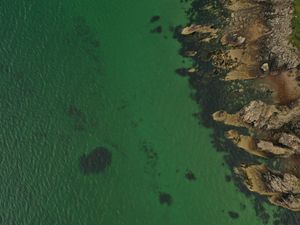 Supporting image for story: Marine conservation group claims damage to seabeds is a ‘national scandal’