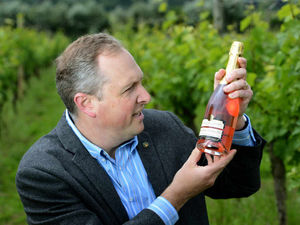 Supporting image for story: Real Life: Grape expectations