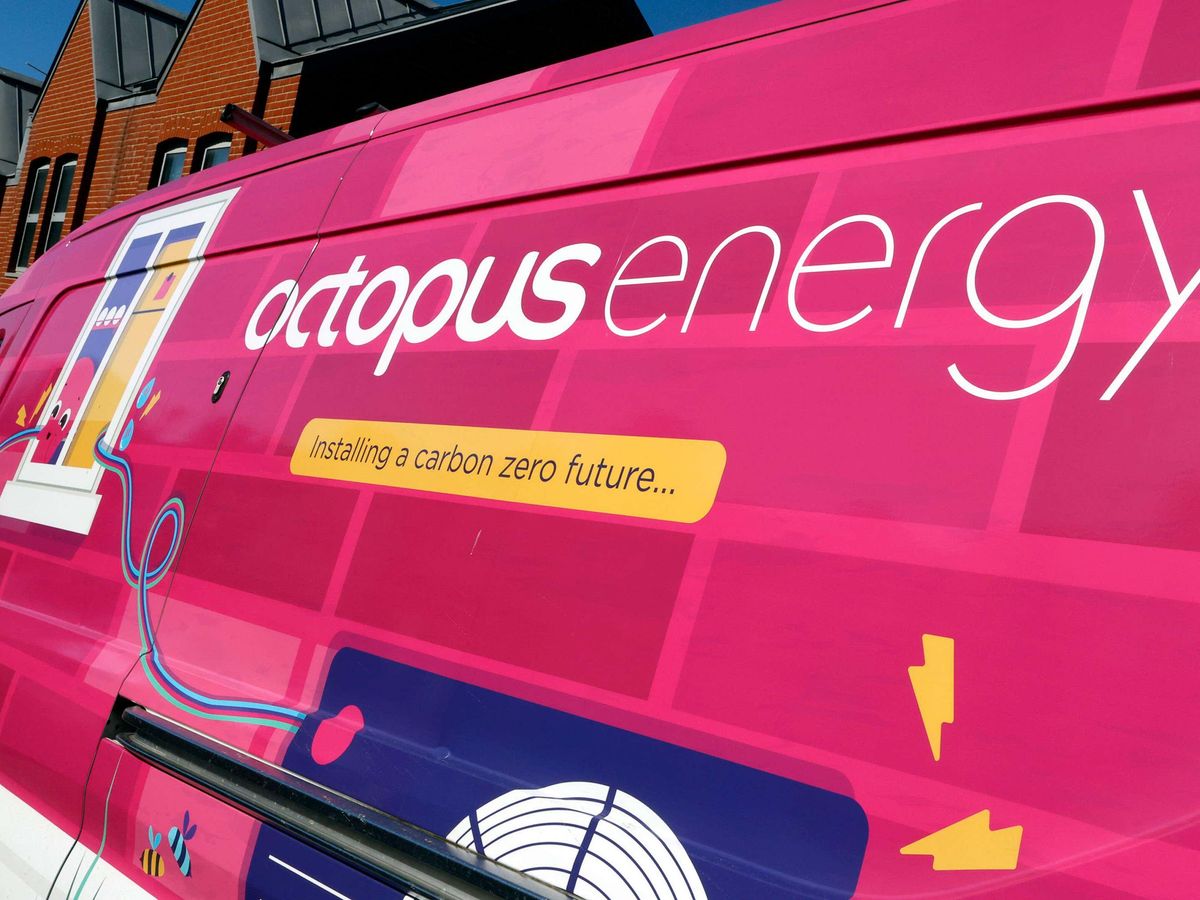 Octopus Energy to trade renewables in China after striking joint venture