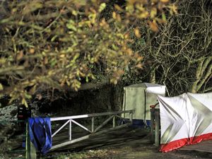 Supporting image for story: Dog walker finds remains of baby in field in Greater Manchester