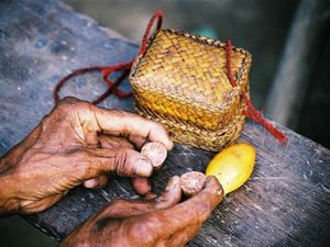 Supporting image for story: Hunter-gatherers ‘helped speed up cultural revolution through social networks’