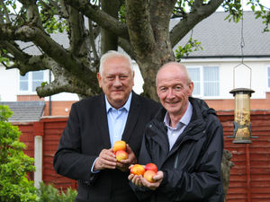 Supporting image for story: Fruit trees plan for Wolverhampton neighbourhood