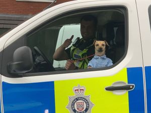Supporting image for story: Smartly dressed dog taken into care after police called to Wolverhampton railway station over concerns owner was intoxicated 