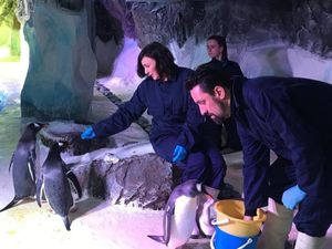 Supporting image for story: Strictly star Shirley Ballas visits National Sea Life Centre Birmingham