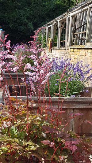 It will be a green area with a lot of different plants and wildlife. Photo: Himley Glamping
