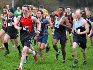 Supporting image for story: Rising stars put the seal on a fine season