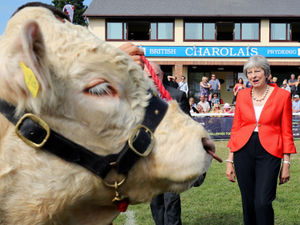Supporting image for story: Bulls and Brexit: PM promises bright farming future at Royal Welsh Show