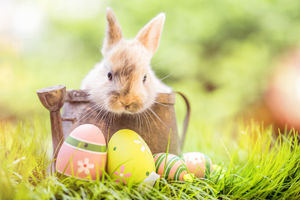 Easter 2019