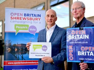 Supporting image for story: Campaigner sets out his case for fresh Referendum vote
