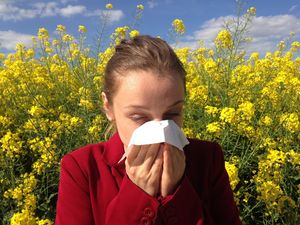 Supporting image for story: Dan Morris: You give me fever