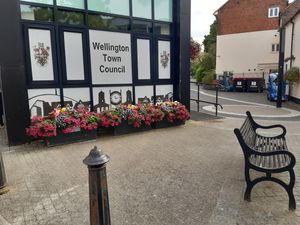 Supporting image for story: Seven-minute committee meeting at Wellington Town Council