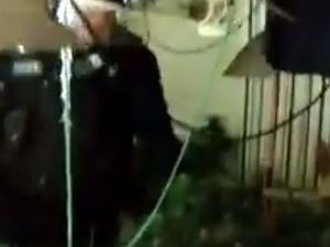 Supporting image for story: Drugs house ceilings in danger of collapse after 200 cannabis plants found