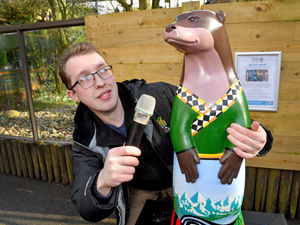 Supporting image for story: Otter art trail brings a splash of colour to popular Black Country zoo