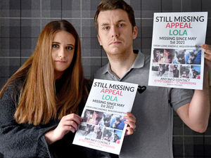 Supporting image for story: Reward on offer for help to find Wolverhampton cat missing for more than six months