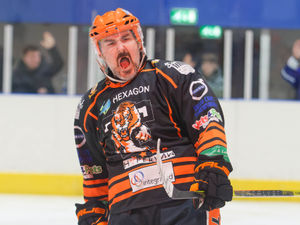 Supporting image for story: Tom Watkins takes positives from Telford Tigers defeat