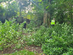 Supporting image for story: Knives and axe found in police search of Walsall park 