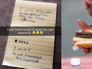 Supporting image for story: Drunk guy leaves family home one-star review due to lack of ketchup