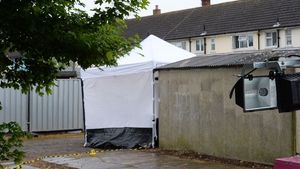 Supporting image for story