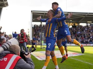 Supporting image for story: Shrewsbury Town fan gets three-year ban after pitch invasion