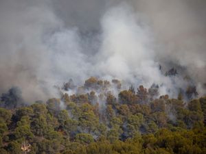 Smoke rises from the forest in a wildfire