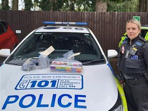 Supporting image for story: Illegal tobacco and vapes seized from Wem store in crackdown 