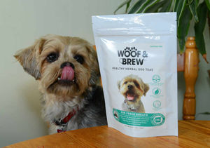 Cheeky Charlie is the face of Woof & Brew herbal teas for dogs.
