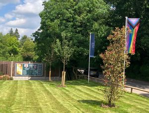 One of the Pride flags displayed at a David Wilson Homes development