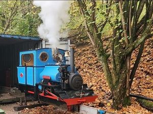 Supporting image for story: The world’s only steam-powered monorail engine returns to steam at Tanat Valley Railway