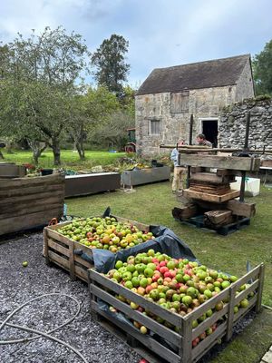 Last year's Apple Day featuring the Millenium Press