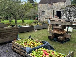 Supporting image for story: Abbey Manor Apple Day set to make return