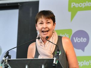 Supporting image for story: Greens push Tories into fifth place as support surges