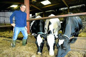 Peter Lewis, from Green Hall Farm, Llanfyllin