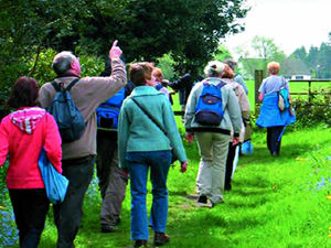 Supporting image for story: Wolverhampton Walking Festival returns