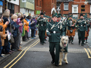 Supporting image for story: 1st Battalion The Royal Irish Regiment: Crowds out in force for Shropshire homecoming parade