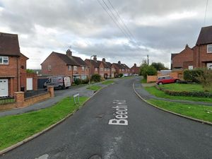 Supporting image for story: Cat rescued after spending three days on Bridgnorth roof